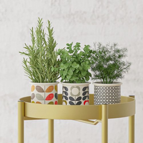 2 Layer 80cm Gold Metal Plant Stand Flower Pot Holder Corner Shelving Rack Indoor Display – 1