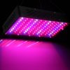 LED Grow Light Full Spectrum – 1000 W