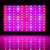 LED Grow Light Full Spectrum – 1000 W