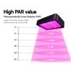 LED Grow Light Full Spectrum – 1000 W
