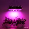LED Grow Light Full Spectrum – 1000 W