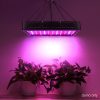 LED Grow Light Full Spectrum – 1200 W