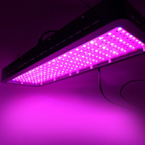 LED Grow Light Full Spectrum – 2000 W