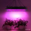 LED Grow Light Full Spectrum – 2000 W