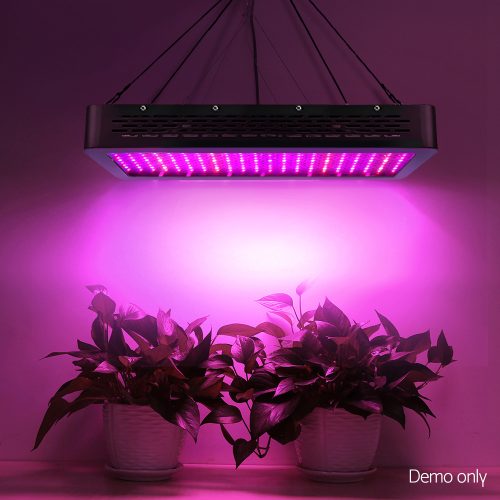 LED Grow Light Full Spectrum – 2000 W