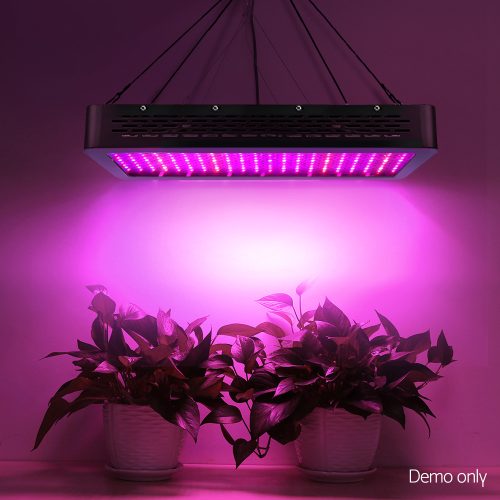 LED Grow Light Full Spectrum – 2000 W