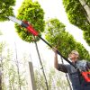 20V Cordless Electric Chainsaw – Without Branch Trimmer