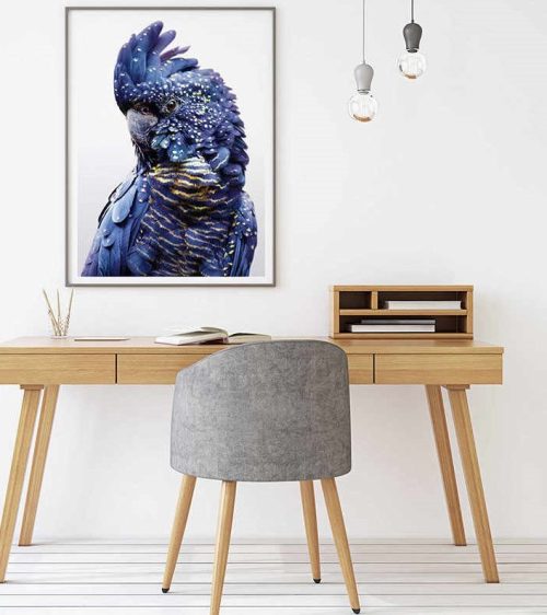 Black Cockatoo A Black Frame Canvas Wall Art – 50×70 cm