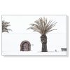 European Palm Tree White Frame Canvas Wall Art – 50×70 cm