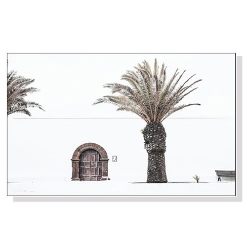 European Palm Tree White Frame Canvas Wall Art – 50×70 cm