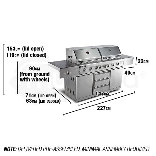 EuroGrille Outdoor BBQ Grill Barbeque Gas Stainless Steel Kitchen Commercial – 9 Burner