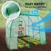 Home Ready Dome Tunnel Hoop Polytunnel Greenhouse Walk-In Shed PE – 3x2x2 m