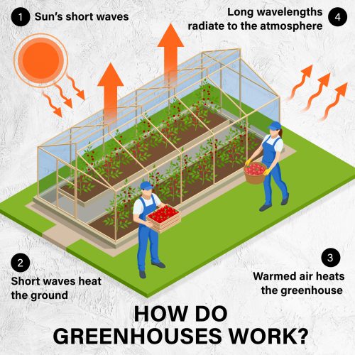 Home Ready Apex Mini Garden Greenhouse Shed PVC Cover Only – 3x2x2 m