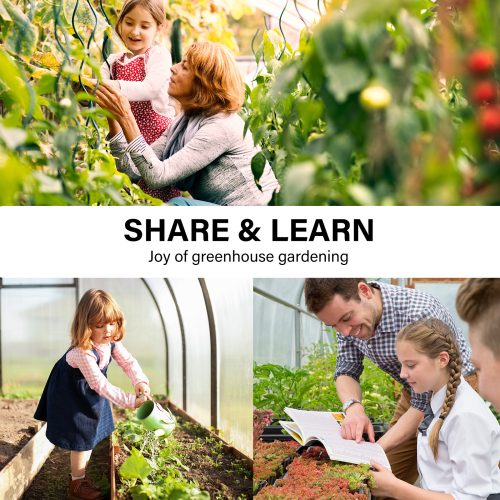 Home Ready Apex Mini Garden Greenhouse Shed PVC Cover Only – 3.5x2x2 M