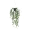 Artificial Hanging Potted Plant (Willow Leaf) 66cm UV Resistant
