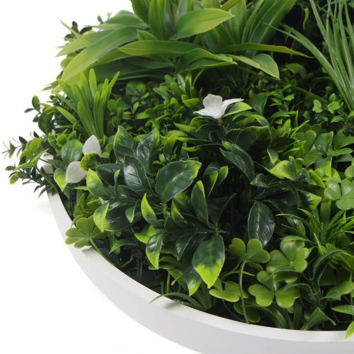 Flowering White Artificial Green Wall Disc UV Resistant 50cm – White Frame