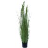 Flowering Native Grass 120 cm