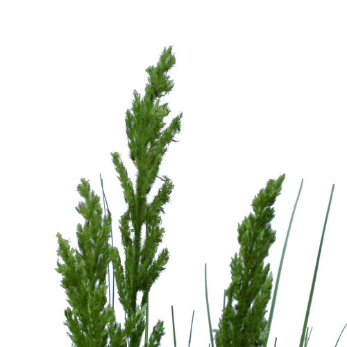 Flowering Native Grass 120 cm