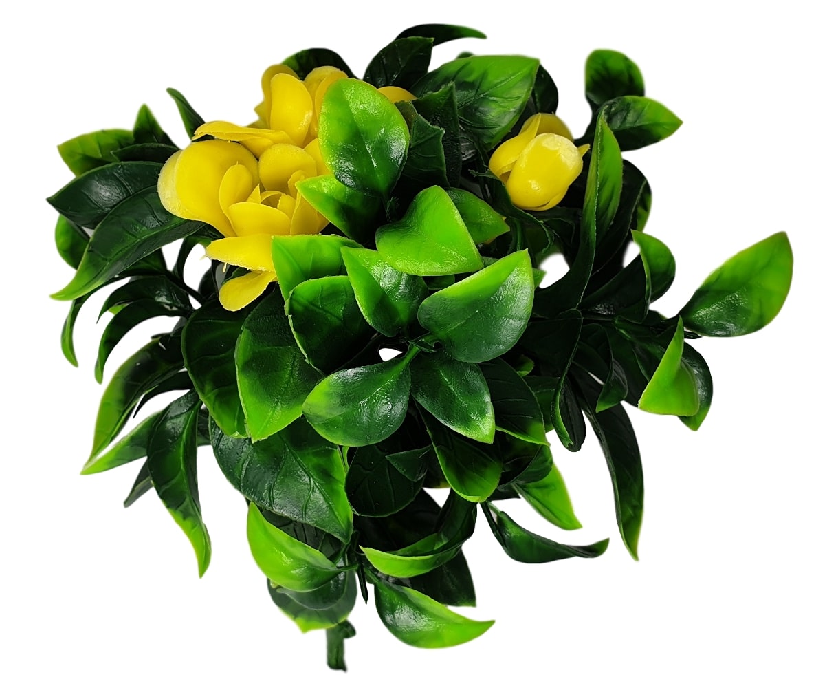 Flowering Stem UV Resistant