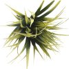 Tipped Grass Stem UV Resistant 35cm – Yellow Tipped