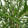Natural Bamboo Trunk (Real Touch Leaves) – 180 cm