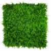 Mediterranean Fern Vertical Garden UV Stabilised 1m X 1m