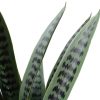 Artificial Snake Plant UV Resistant – 60 cm