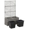 Trellis Raised Bed with Pot Poly Rattan – 58x30x107 cm, Grey