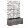 Trellis Raised Bed with Pot Poly Rattan – 83x30x130 cm, Grey
