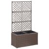Trellis Raised Bed with Pot Poly Rattan – 58x30x107 cm, Brown