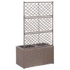 Trellis Raised Bed with Pot Poly Rattan – 58x30x107 cm, Brown