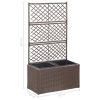 Trellis Raised Bed with Pot Poly Rattan – 58x30x107 cm, Brown