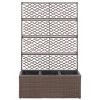 Trellis Raised Bed with Pot Poly Rattan – 83x30x130 cm, Brown