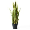 Artificial Indoor Yellow Edge Tiger Piran Fake Decoration Tree Flower Pot Plant