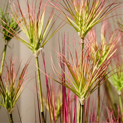 Purple-Red Artificial Indoor Potted Papyrus Plant Tree Fake Simulation Decorative