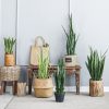 Artificial Indoor Snake Sansevieria Plant Fake Decoration Tree Flower Pot