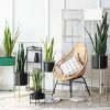 Artificial Indoor Snake Sansevieria Plant Fake Decoration Tree Flower Pot