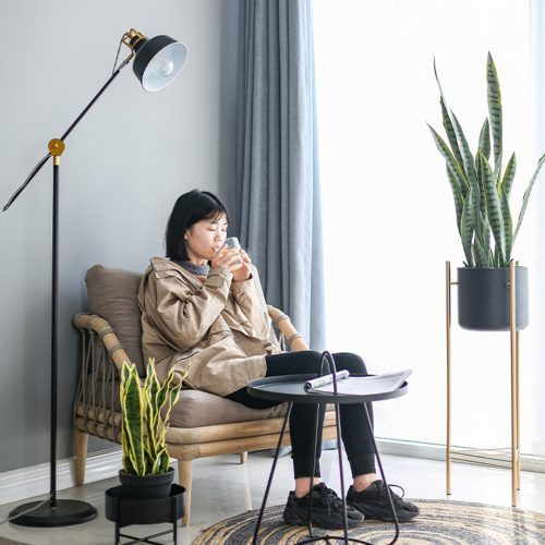 Artificial Indoor Snake Sansevieria Plant Fake Decoration Tree Flower Pot