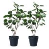 Green Artificial Indoor Pocket Money Tree Fake Plant Simulation Decorative