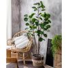 Green Artificial Indoor Pocket Money Tree Fake Plant Simulation Decorative