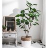 Green Artificial Indoor Pocket Money Tree Fake Plant Simulation Decorative