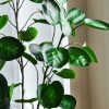 Green Artificial Indoor Pocket Money Tree Fake Plant Simulation Decorative