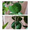Green Artificial Indoor Pocket Money Tree Fake Plant Simulation Decorative