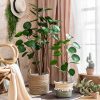 Green Artificial Indoor Pocket Money Tree Fake Plant Simulation Decorative