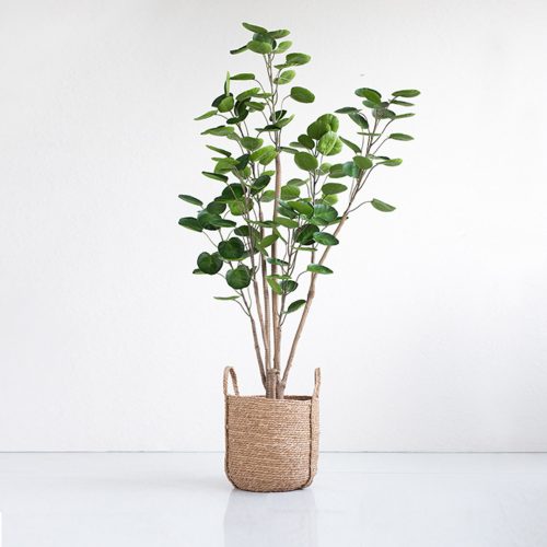 Green Artificial Indoor Pocket Money Tree Fake Plant Simulation Decorative