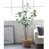 Green Artificial Indoor Pocket Money Tree Fake Plant Simulation Decorative
