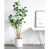 Green Artificial Indoor Pocket Money Tree Fake Plant Simulation Decorative