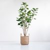 Green Artificial Indoor Pocket Money Tree Fake Plant Simulation Decorative