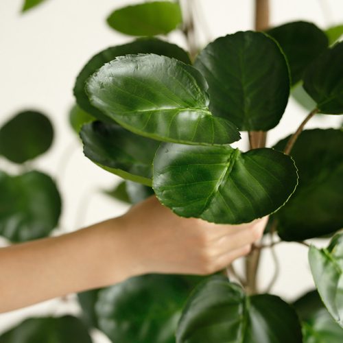 Green Artificial Indoor Pocket Money Tree Fake Plant Simulation Decorative