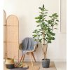 Green Artificial Indoor Pocket Money Tree Fake Plant Simulation Decorative